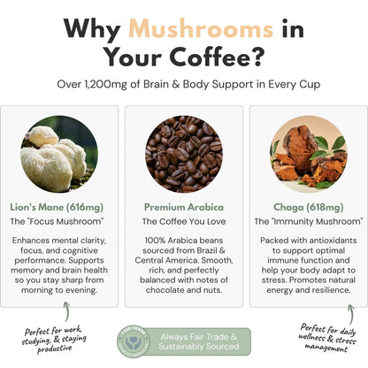 Vitality Coffee | Functional Mushroom Coffee with Lion's Mane & Chaga | 1,200mg Adaptogenic Mushrooms | 4oz | Non-GMO, Made in USA