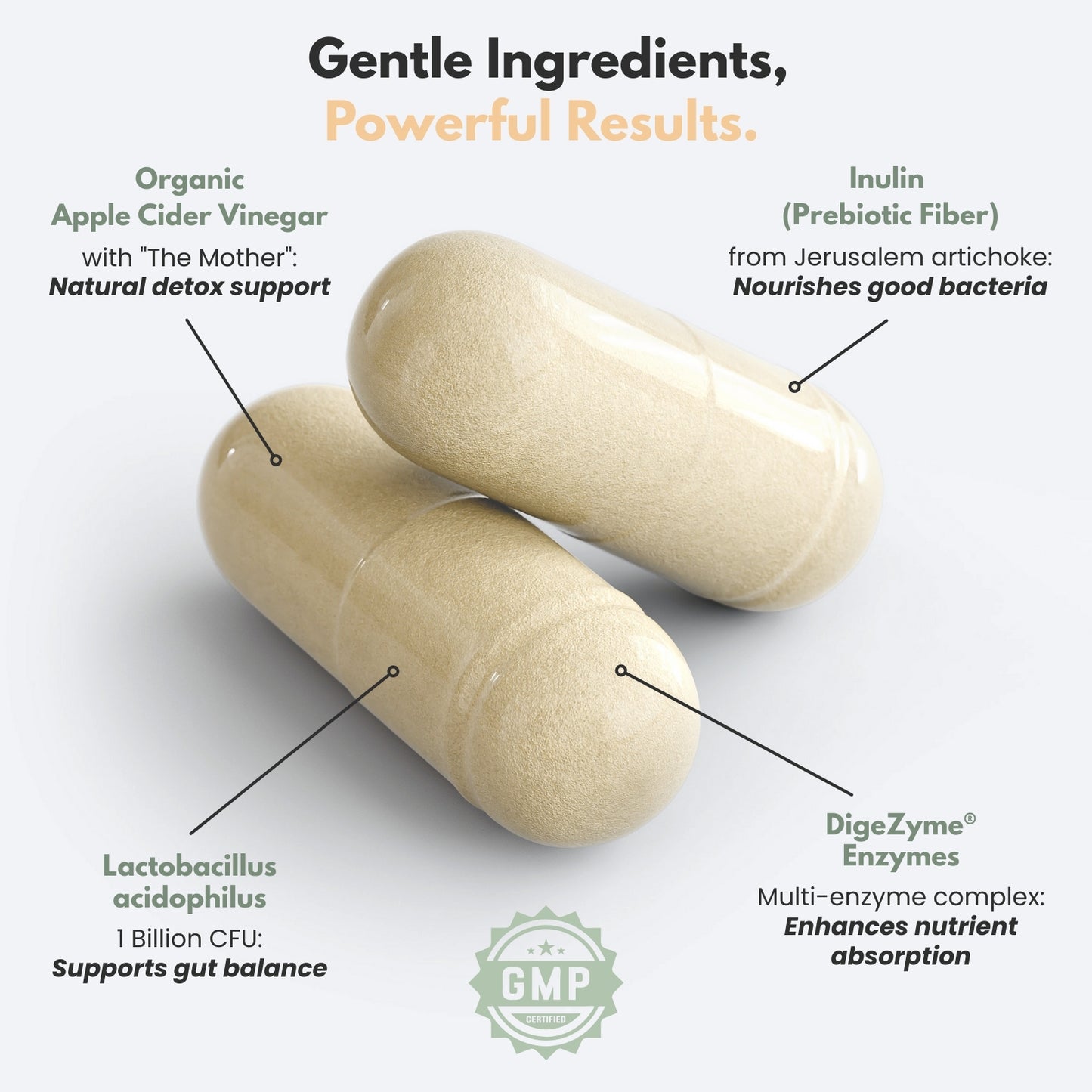 ACV+ | Apple Cider Vinegar Supplement with Probiotics & Enzymes | 60 Capsules | GMP Certified, Vegan, Made in USA