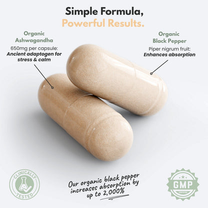 Calm+ | Organic Ashwagandha Supplement for Cortisol & Stress Support | 60 Capsules | Non-Drowsy, Vegan, GMP Certified, Made in USA